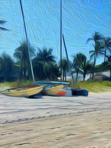 Naples Beach Catamarans 