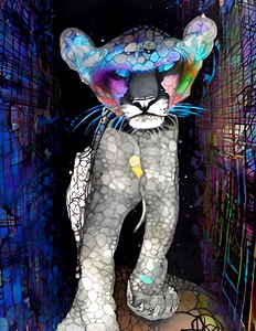 B0784B90 D17F 4F41 AA19 B6D6A0B861DF