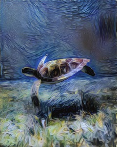 BB011F6D 2551 4BAC AF56 488A4E87622D