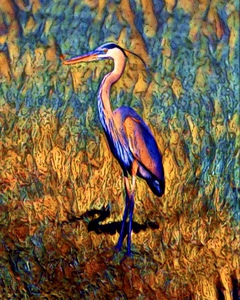 BBC0B843 D563 41D9 B320 A00BF400E151