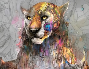 BC6C4E22 1AA0 4666 AB75 ACF44BFE1F86