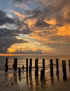 Most Gorgeous Naples Pillar Sunset