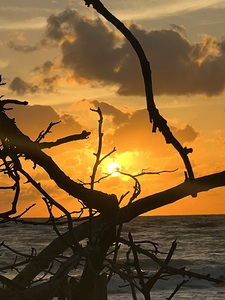 BeCasso 2024 05 17 10 49 56