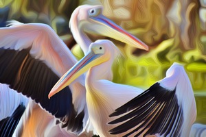 C03A8964 3A3E 46C9 A346 3BB19DB3FBC3