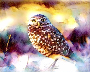 C0A48C0A FFED 4402 980B 07B74FC5E218