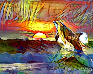 Dolphin Splendors
