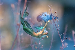 C3EABE6D 178A 44DE 8CE1 B11D1E08A0F4