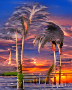 Palm Sway Colors