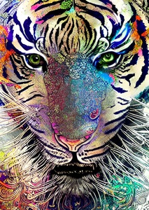 C76C3972 59CB 4D18 AC10 DDC2B119FE75