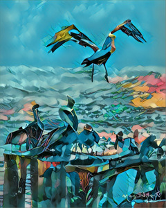Pelicans Gathering