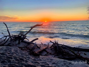 Naples Wiggins Pass Driftwood Scenic