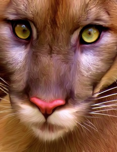 D1274E7F FA21 4152 903D 04E287429518