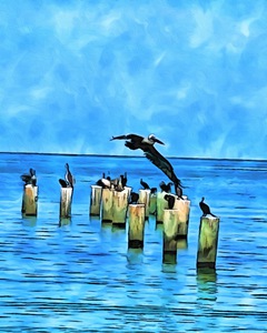 D7CBF10D 3113 4E27 928E B7B1BFFD9D14