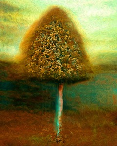 ED9B8B55 E67B 444A BC8E 8293B47E1DE0