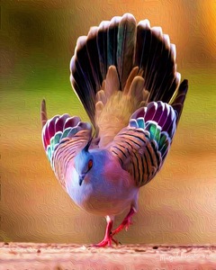 EE35FD48 6291 4CC3 B2A0 49416AC88F12