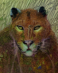 EE3D0EBF 360C 4F2B BDF5 1476C9915831