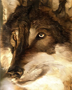 F5D60F2A 2D3C 4424 AAF3 DEEB06FB6AA1