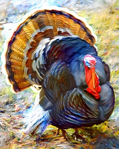 F6CAFD69 8C8C 4EBF BE66 337AA6F9F938