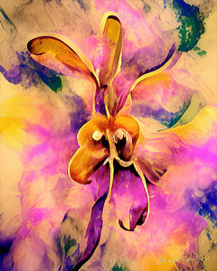 Orchid Love
