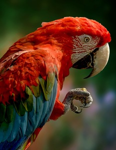 F86E1361 5A23 4A0F 9C78 4DABEE3AD4EA