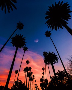 FAD61E65 9B23 4C52 9D35 E72313C8E172