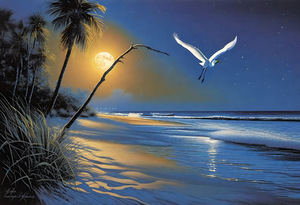 In Flight Lunar Beach Waves