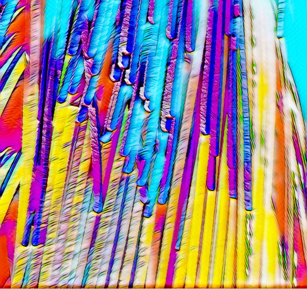 02D29814 83B0 46EC 85C3 0BEB55D20C1F Print