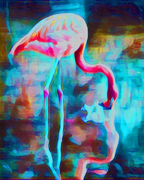 046F0335 1FB6 42F1 922E 4915C8C4AD00 Print