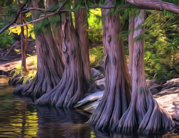 09F7C077 F323 47CC A3B3 C9ED6A07C8BF Print