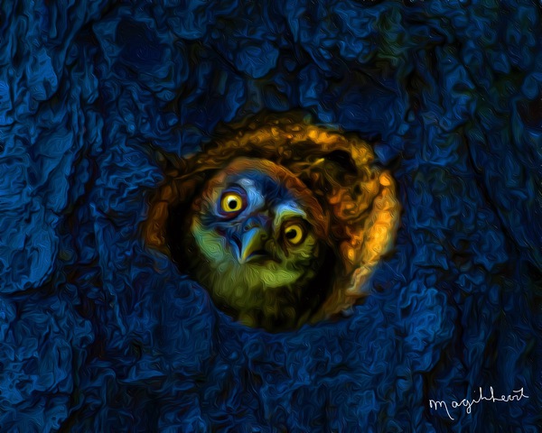 1AFD92C9 F65D 48EF 9B4C 4F900C869EE0 Print