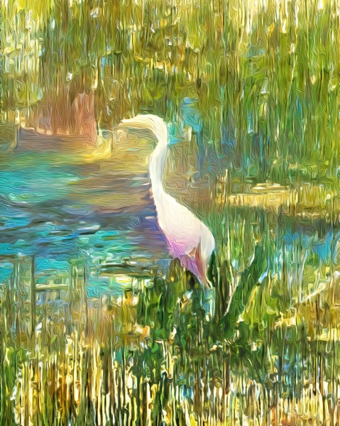 Naples Madison Park Egret Pastel Print