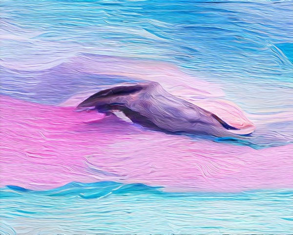Pink Aqua Naples Beach Dolphin Print