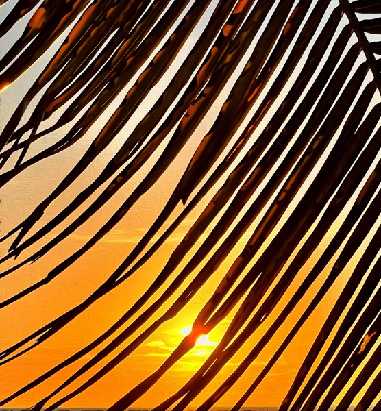 3A4CEFB2 39F6 43D3 A5C5 E65BD1F72E11 Print