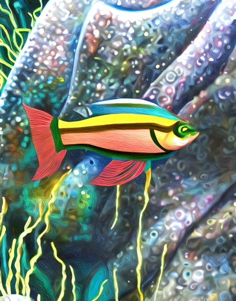 3DC2509B 7CAB 4375 BC83 856BA6BB7369 Print