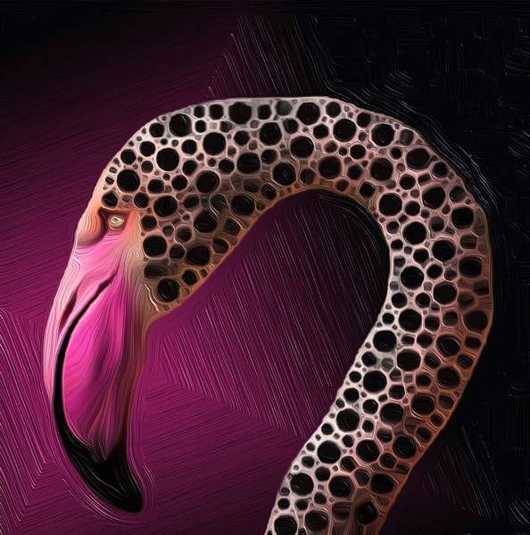 3EAED5E5 7D4D 4B1E ACEF 356BE0FD7D33 Print