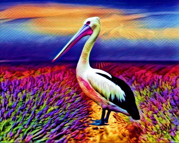 3EBBEDBF 934F 41E5 9E96 A289D07A36F6 Print