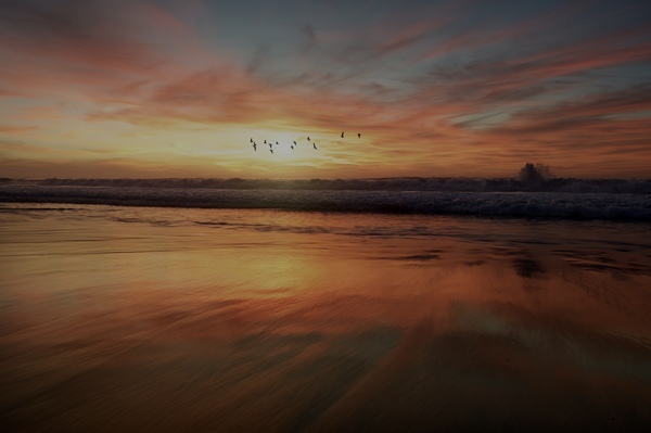 464C0D27 62C5 4BD8 8CDA CAA69BCA41FF Print