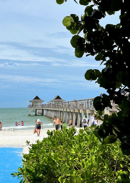 49FDE598 DA38 4AA1 9173 925EA3C7985F Print