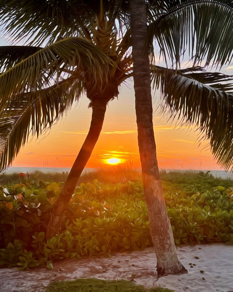 540B8F4D 0DE4 4F80 BA41 8EB8AD8AA69A Print