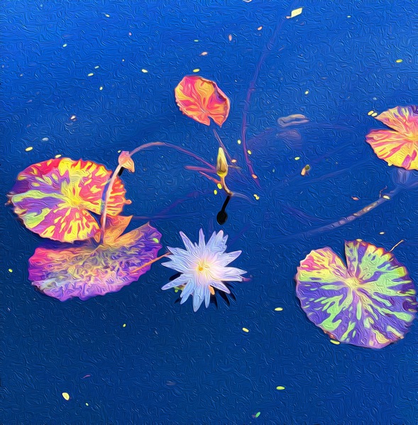 680FC93B 4524 4AC4 96BF AC244AE56A11 Print