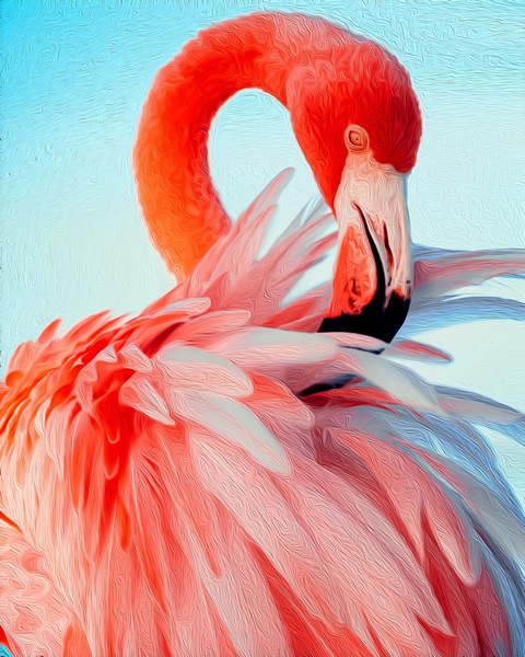 Flamingo Beauty Print