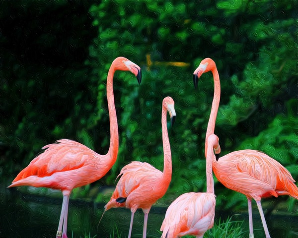 The Flamingo Family Print