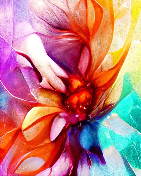 Chakra Love Flower Print
