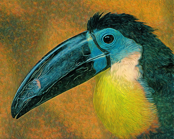 B0DA0138 B547 4FD9 AA27 AE0ABD736A53 Print