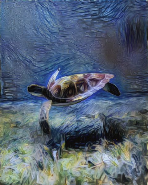 BB011F6D 2551 4BAC AF56 488A4E87622D Print