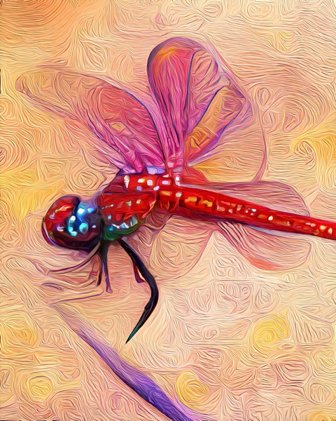 The Mystic Dragonfly Print