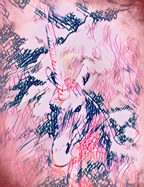 CA0F4B3D E086 434D 9F97 93BF73ECD1F2 Print