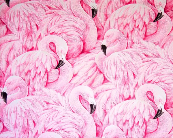 D43C30E2 1A02 41D3 AFE2 13F3C22E4A4D Print