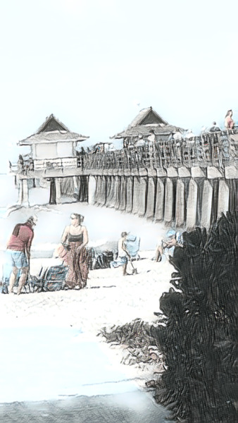 Naples Pier Black White Vision Print