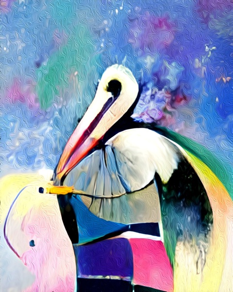 Cubism Pelican Print